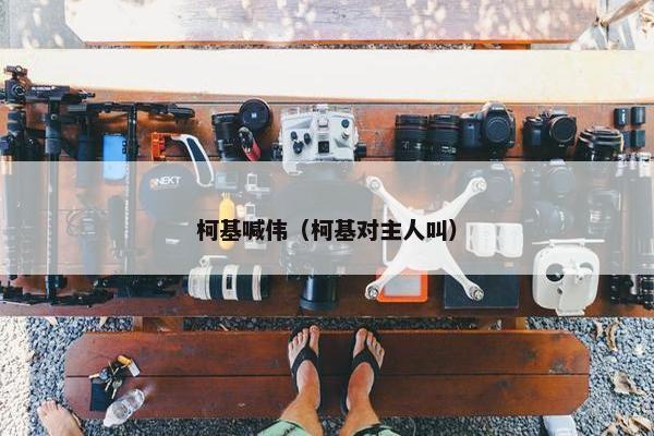 柯基喊伟（柯基对主人叫）