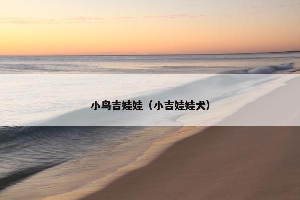 小鸟吉娃娃（小吉娃娃犬）