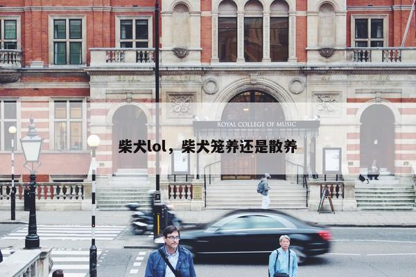 柴犬lol,柴犬笼养还是散养