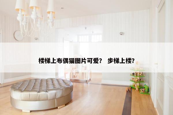 楼梯上布偶猫图片可爱？ 步梯上楼？