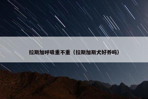 拉斯加呼吸重不重（拉斯加斯犬好养吗）