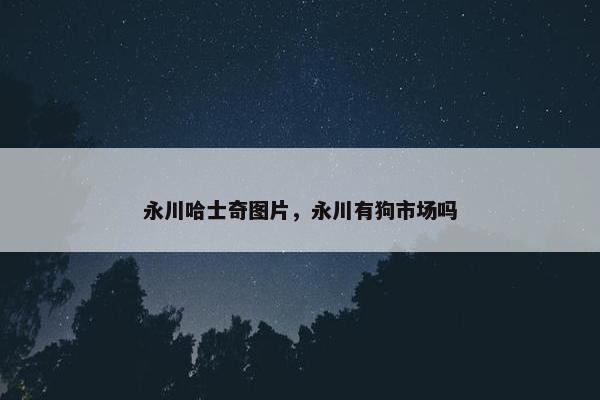 永川哈士奇图片，永川有狗市场吗