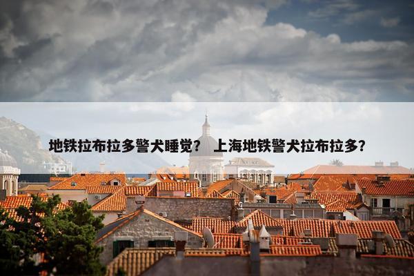 地铁拉布拉多警犬睡觉? 上海地铁警犬拉布拉多?