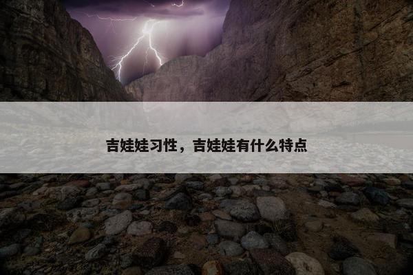 吉娃娃习性，吉娃娃有什么特点