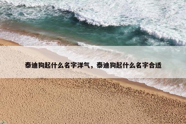 泰迪狗起什么名字洋气，泰迪狗起什么名字合适