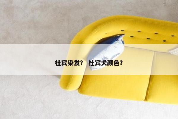 杜宾染发？ 杜宾犬颜色？