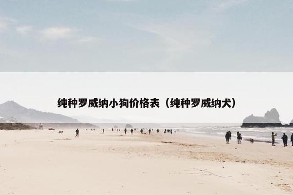 纯种罗威纳小狗价格表（纯种罗威纳犬）