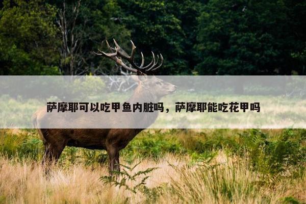 萨摩耶可以吃甲鱼内脏吗，萨摩耶能吃花甲吗