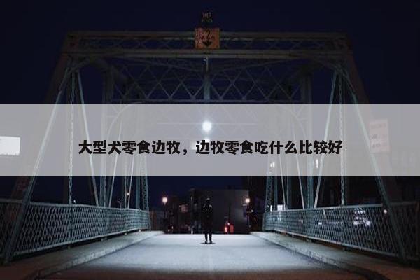 大型犬零食边牧，边牧零食吃什么比较好