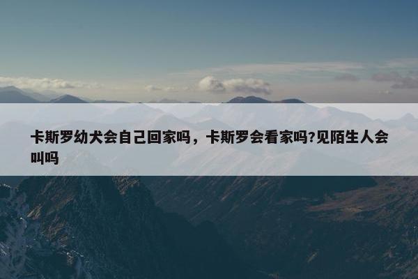 卡斯罗幼犬会自己回家吗，卡斯罗会看家吗?见陌生人会叫吗