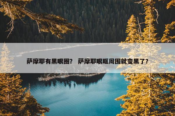 萨摩耶有黑眼圈? 萨摩耶眼眶周围就变黑了?