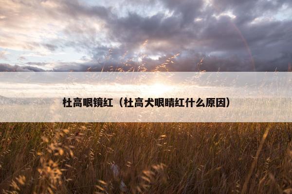 杜高眼镜红（杜高犬眼睛红什么原因）