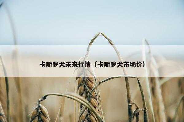 卡斯罗犬未来行情（卡斯罗犬市场价）