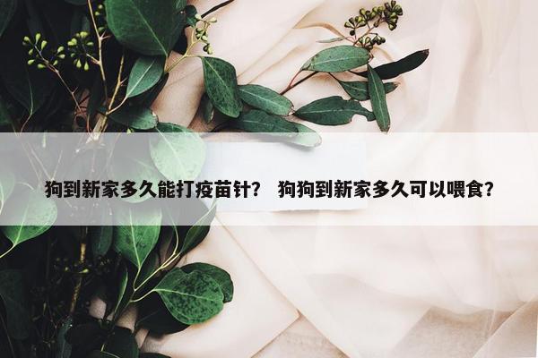 狗到新家多久能打疫苗针？ 狗狗到新家多久可以喂食？