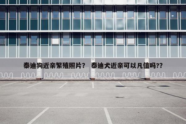 泰迪狗近亲繁殖照片？ 泰迪犬近亲可以凡值吗?？