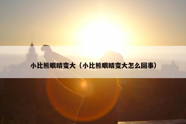 小比熊眼睛变大（小比熊眼睛变大怎么回事）