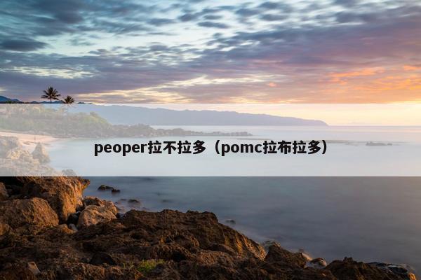 peoper拉不拉多(pomc拉布拉多)