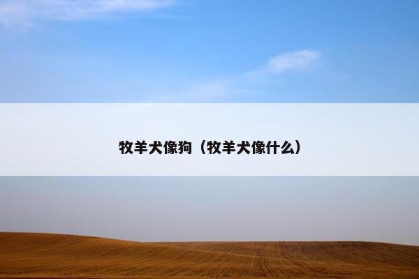 牧羊犬像狗（牧羊犬像什么）