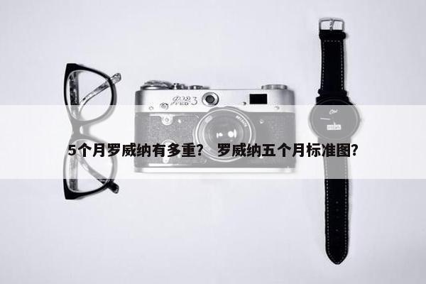 5个月罗威纳有多重？ 罗威纳五个月标准图？