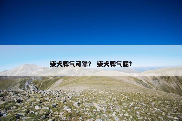 柴犬脾气可犟? 柴犬脾气倔?