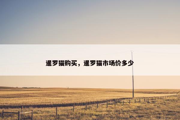 暹罗猫购买,暹罗猫市场价多少