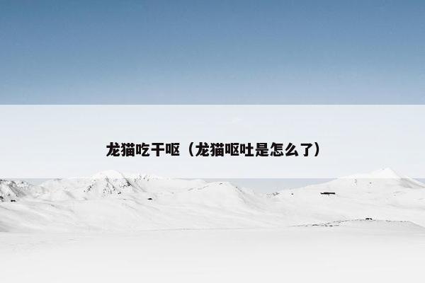 龙猫吃干呕(龙猫呕吐是怎么了)