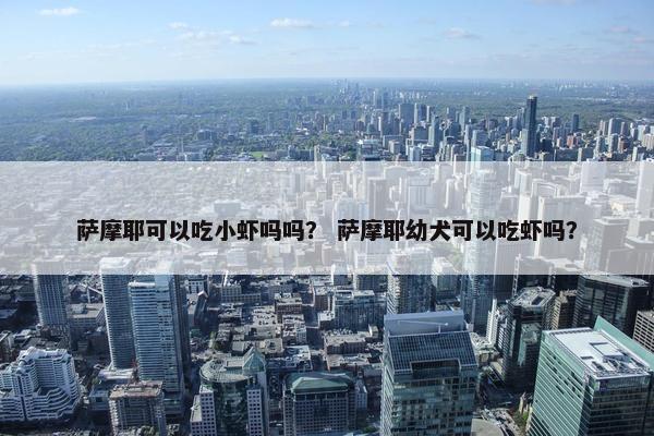 萨摩耶可以吃小虾吗吗？ 萨摩耶幼犬可以吃虾吗？