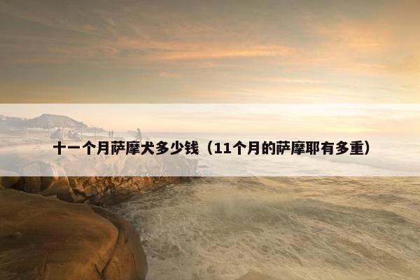 十一个月萨摩犬多少钱(11个月的萨摩耶有多重)