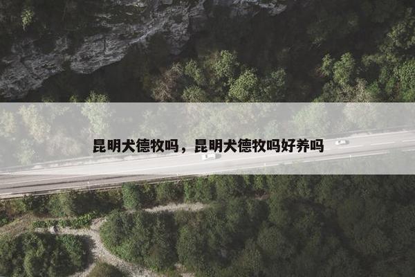 昆明犬德牧吗，昆明犬德牧吗好养吗