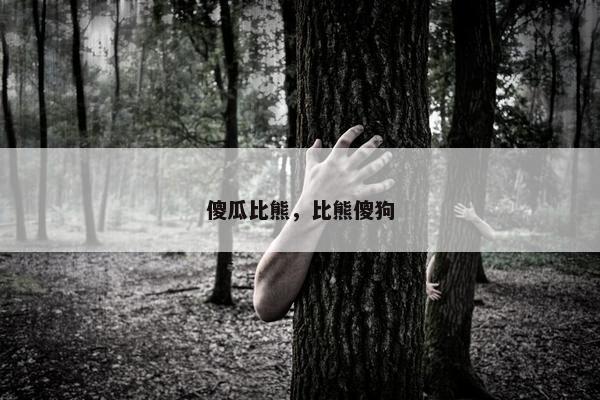 傻瓜比熊,比熊傻狗