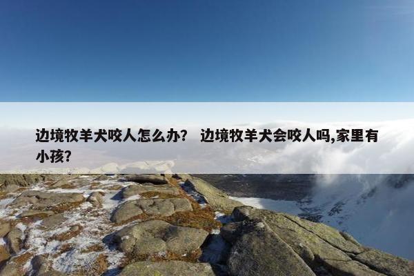 边境牧羊犬咬人怎么办？ 边境牧羊犬会咬人吗,家里有小孩？