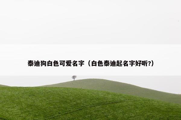 泰迪狗白色可爱名字（白色泰迪起名字好听?）