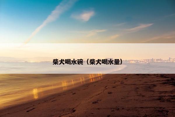 柴犬喝水碗（柴犬喝水量）