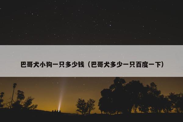 巴哥犬小狗一只多少钱（巴哥犬多少一只百度一下）