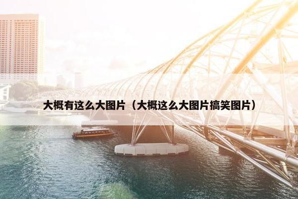 大概有这么大图片（大概这么大图片搞笑图片）