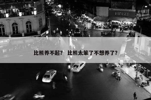 比熊养不起? 比熊太笨了不想养了?