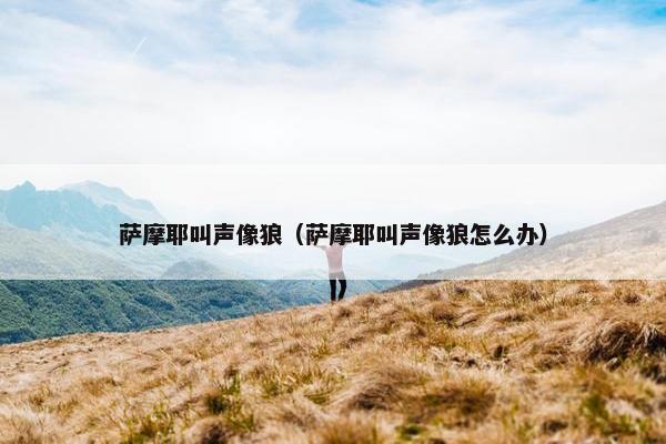 萨摩耶叫声像狼(萨摩耶叫声像狼怎么办)