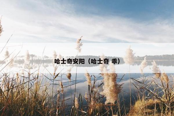 冰冻