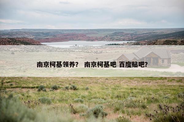 南京柯基领养？ 南京柯基吧 百度贴吧？