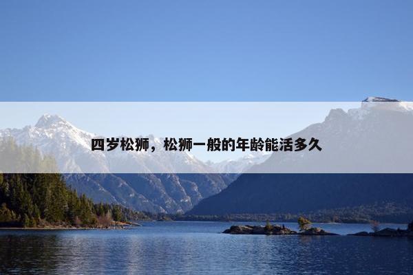 四岁松狮，松狮一般的年龄能活多久