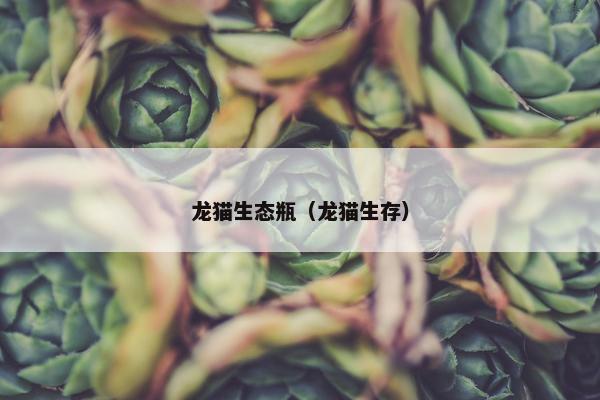 龙猫生态瓶（龙猫生存）