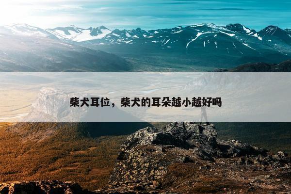 柴犬耳位，柴犬的耳朵越小越好吗