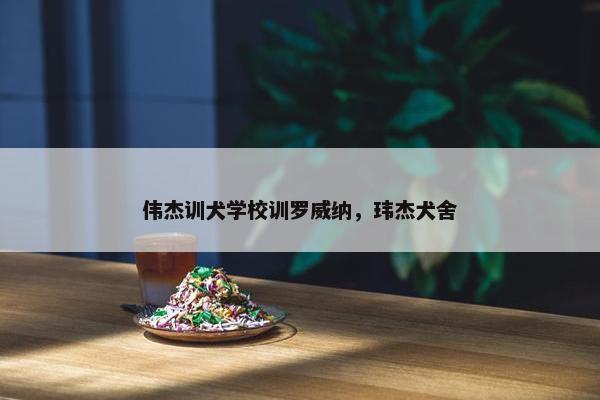 伟杰训犬学校训罗威纳，玮杰犬舍