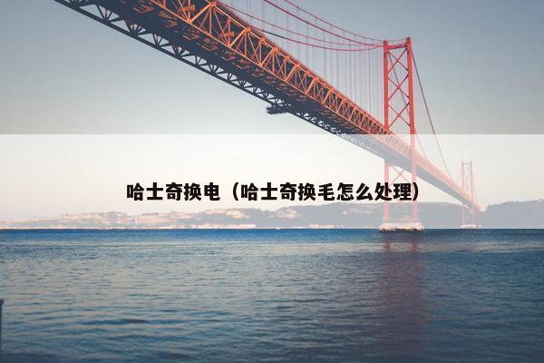 哈士奇换电(哈士奇换毛怎么处理)