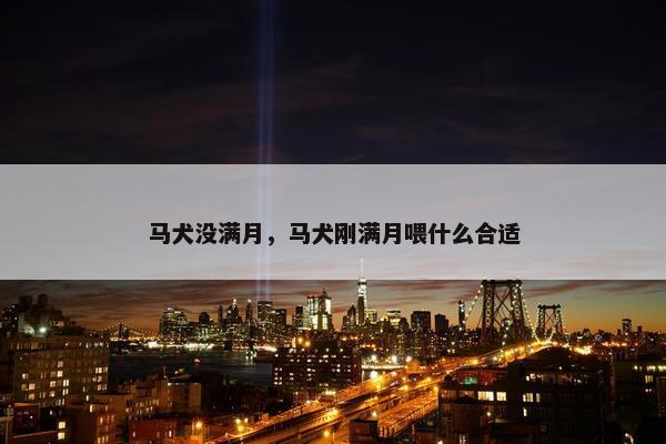 马犬没满月，马犬刚满月喂什么合适