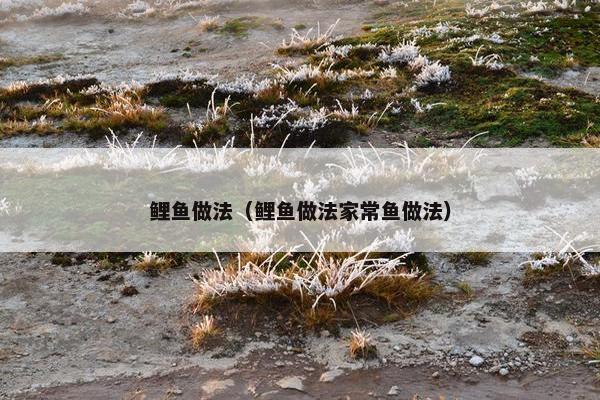 鲤鱼做法（鲤鱼做法家常鱼做法）