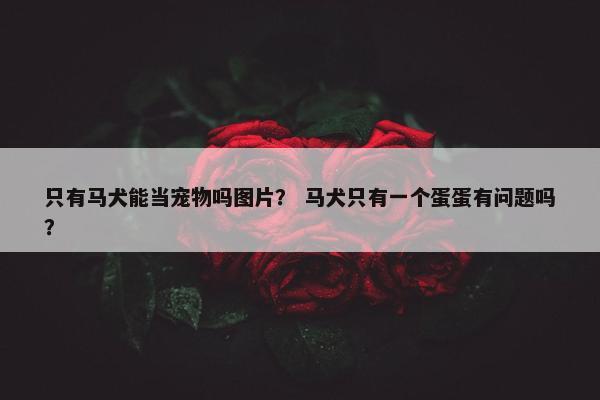 只有马犬能当宠物吗图片？ 马犬只有一个蛋蛋有问题吗？