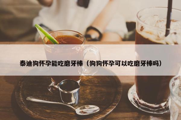 泰迪狗怀孕能吃磨牙棒（狗狗怀孕可以吃磨牙棒吗）