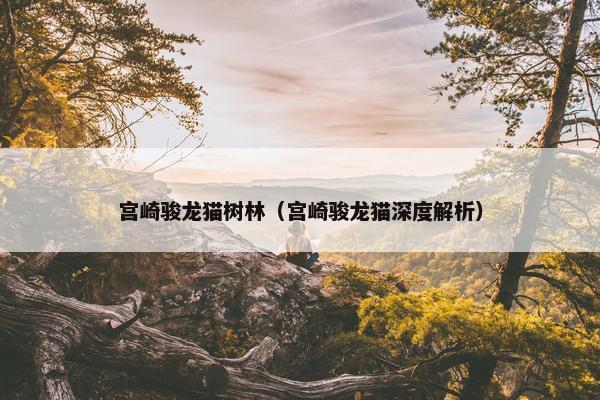 宫崎骏龙猫树林（宫崎骏龙猫深度解析）