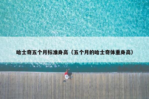 哈士奇五个月标准身高（五个月的哈士奇体重身高）